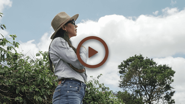 Vídeo de apresentação